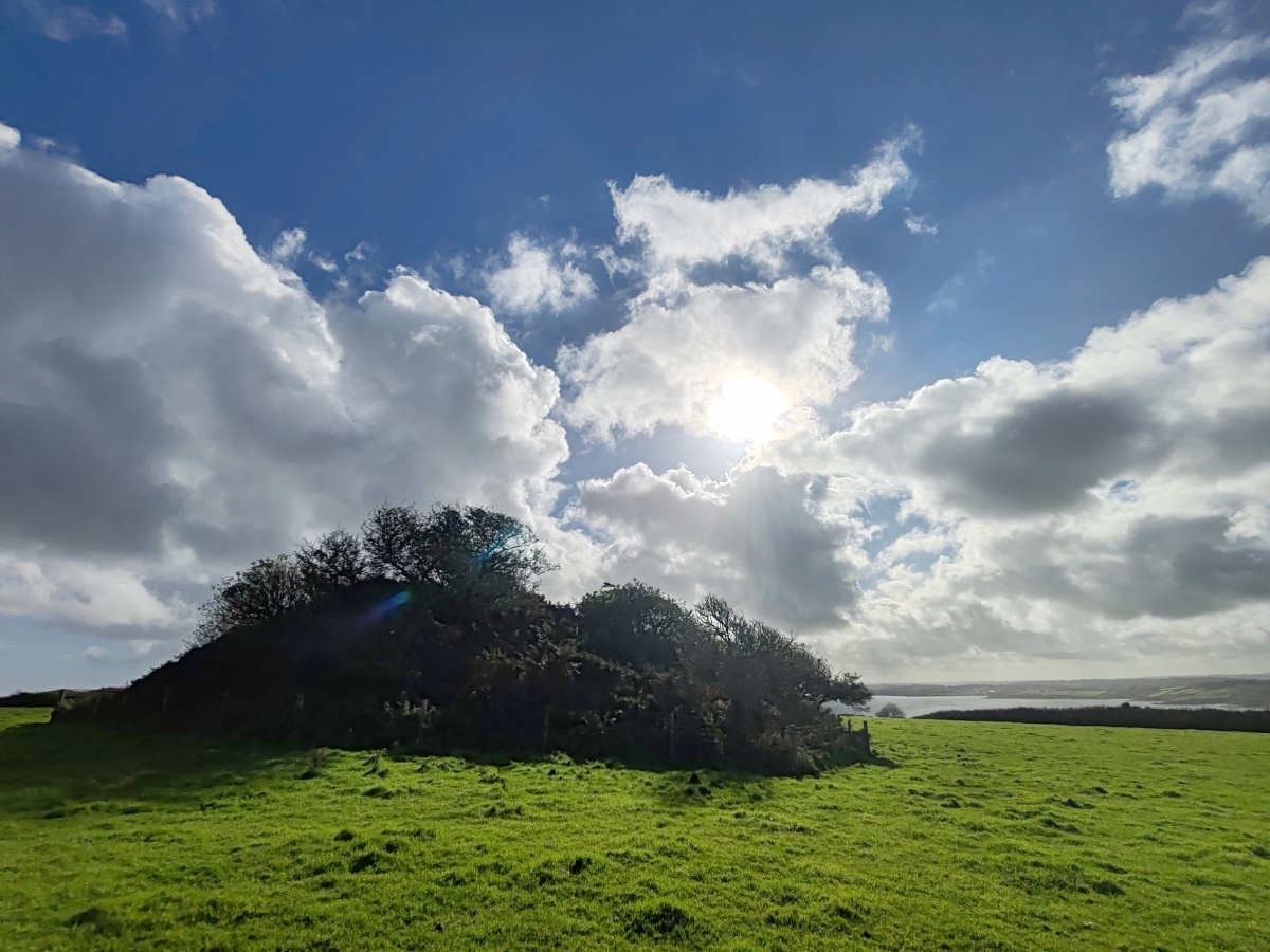 Click for full size image of Veryan Barrow (PID:279896) Veryan Barrow