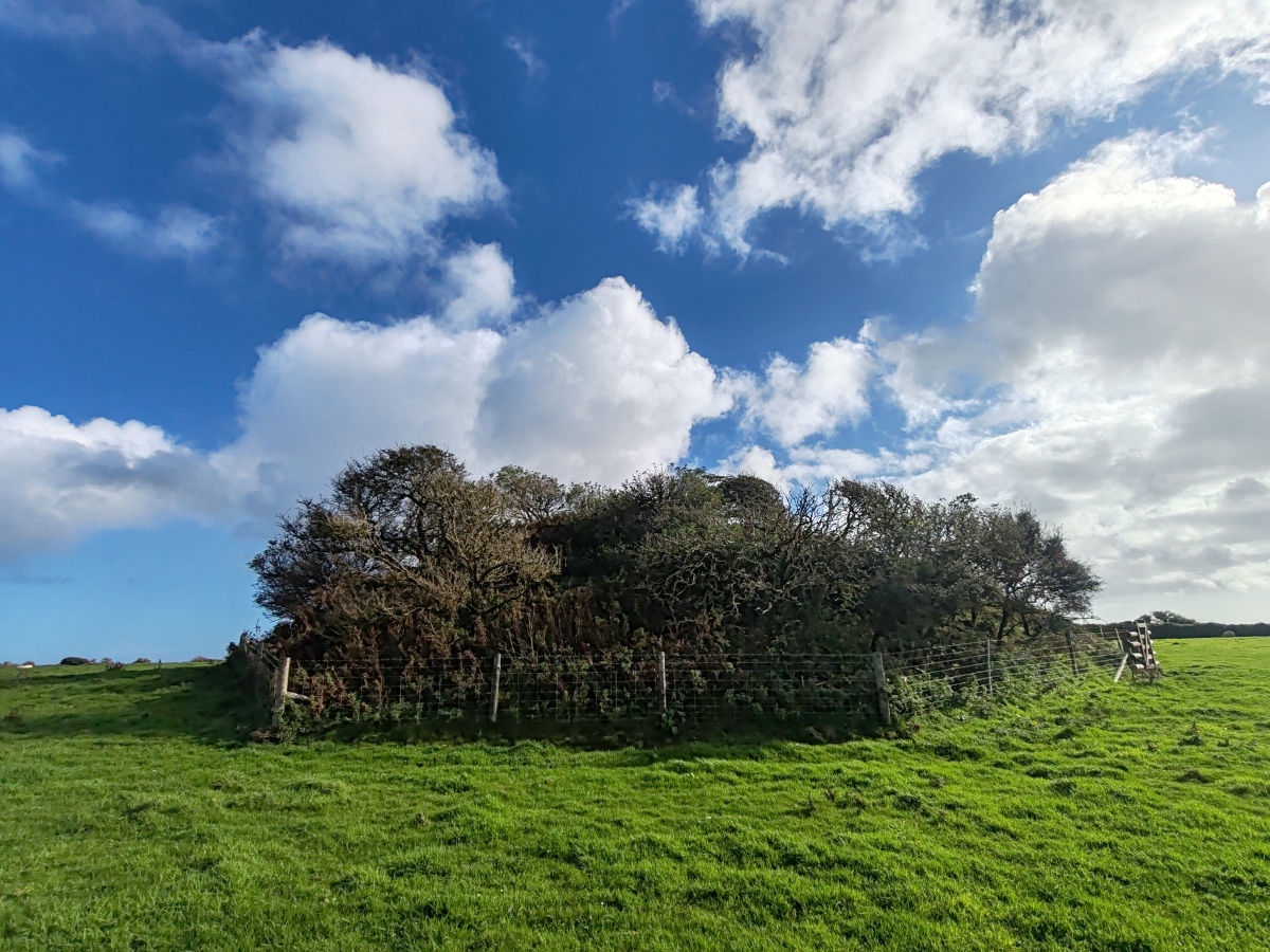 Click for full size image of Veryan Barrow (PID:279893) Veryan Barrow