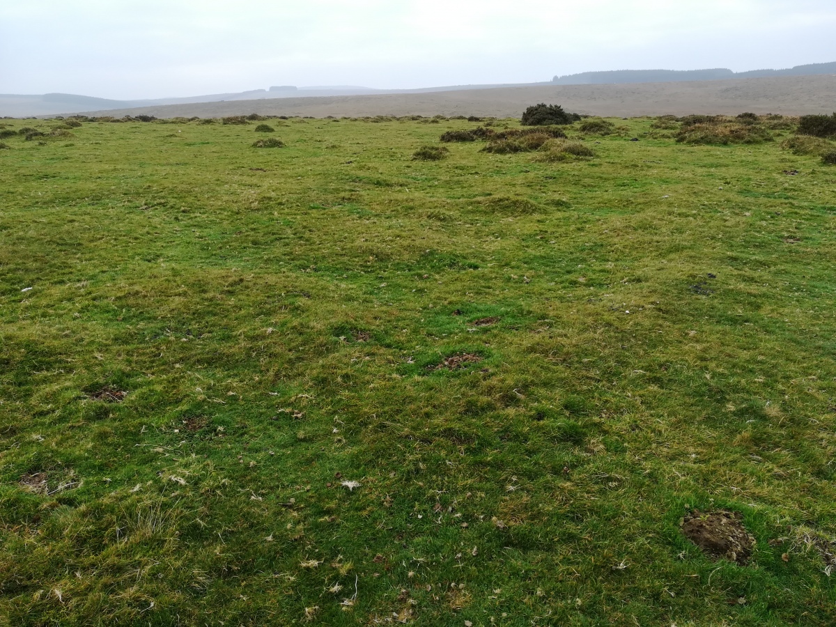 East Moor Enclosure (PID:280985) East Moor Enclosure