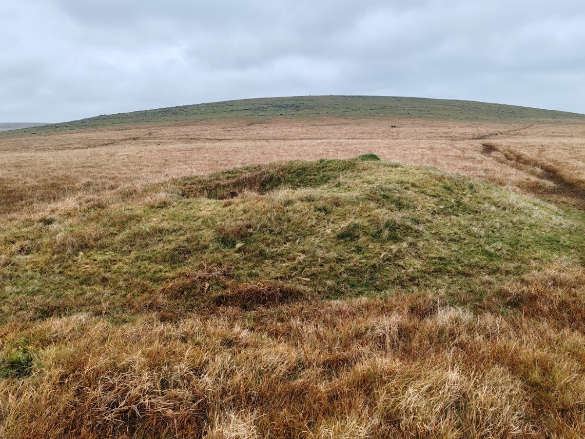 Click for full size image of Leskernick cairn (PID:281638) Leskernick cairn