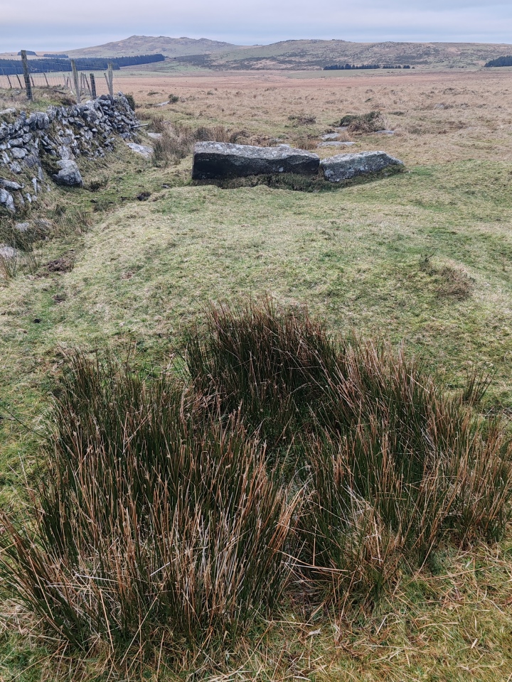 Click for full size image of Casehill Cairn (PID:284033) Casehill Cairn