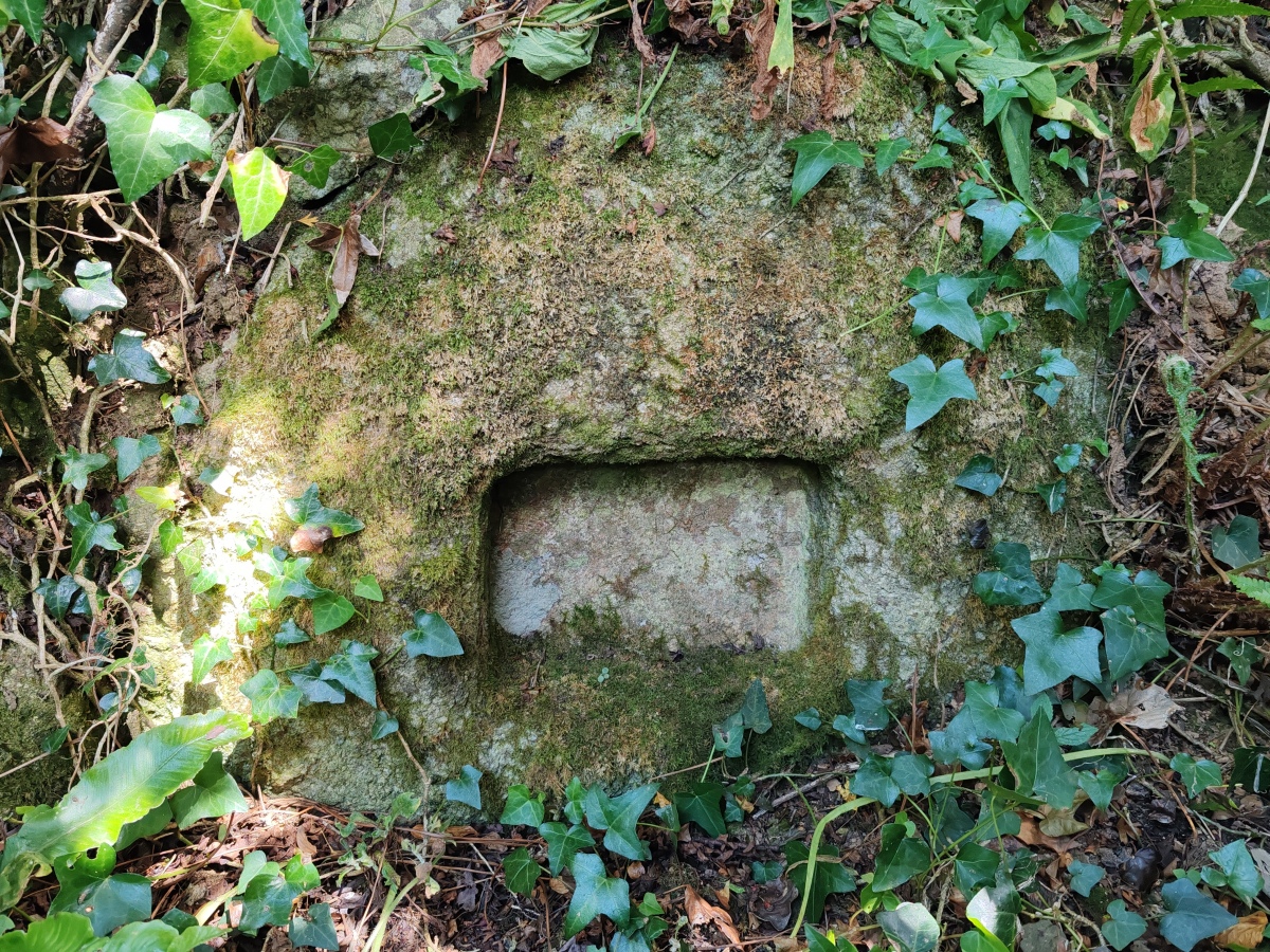 Click for full size image of Paul Churchyard (PID:292899) Paul Churchyard