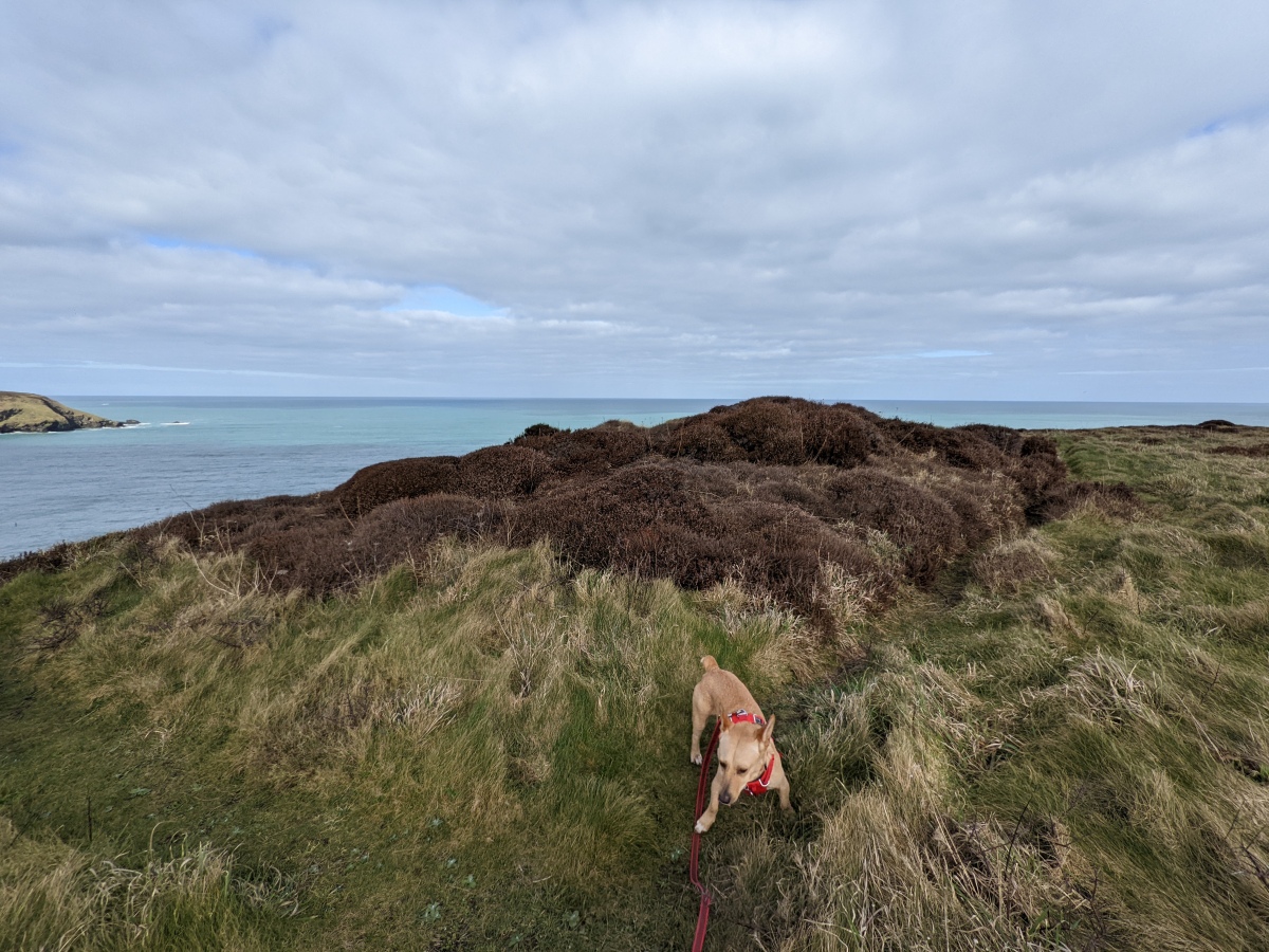 Click for full size image of Hudder Down Tumulus (PID:238584) Hudder Down Tumulus