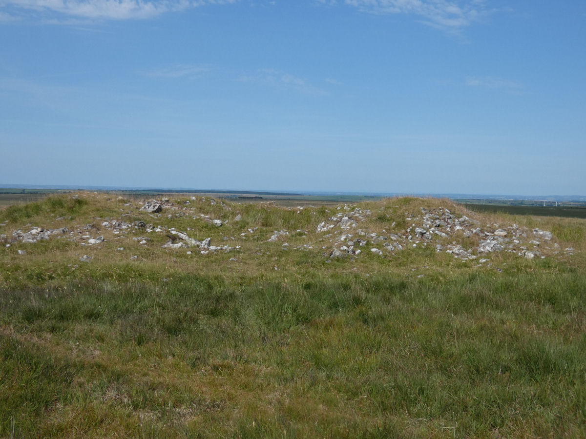 Click for full size image of Showery Tor North Cairn 1 (PID:245015) Showery Tor North Cairn 1