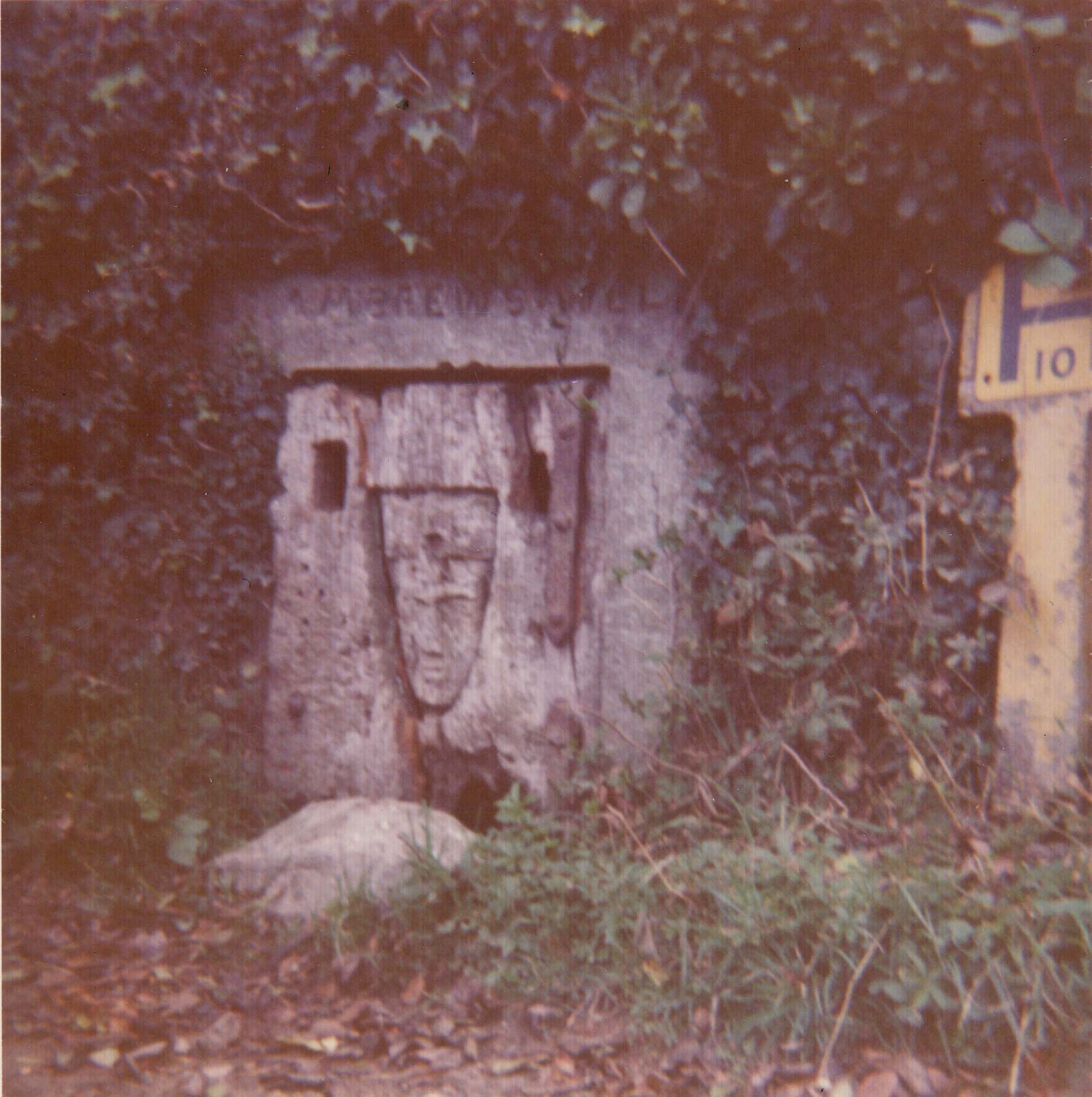 Click for full size image of St Ambrusca's Well (PID:194421) St Ambrusca's Well
