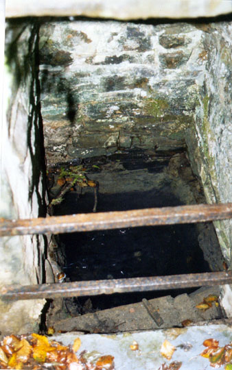 St Swithin's Well (Launcells)