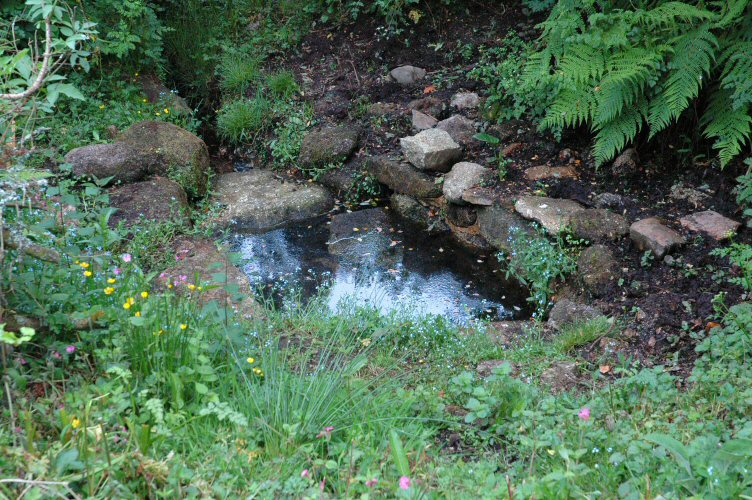 Madron Well