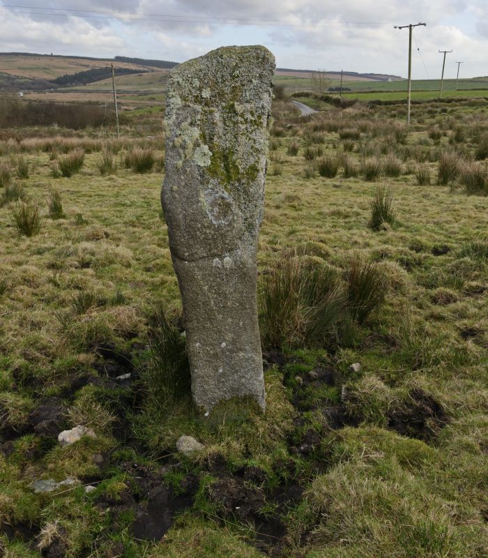 Tolborough Standing Stone