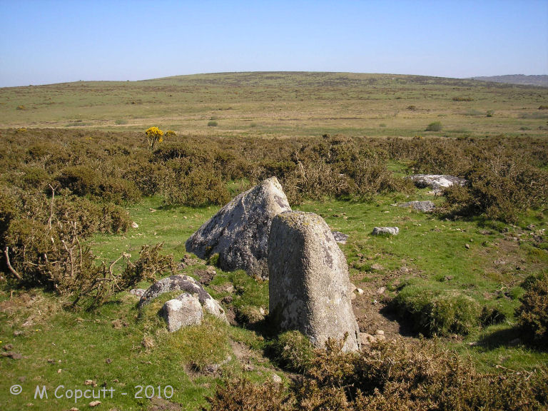 Fox Tor stone setting