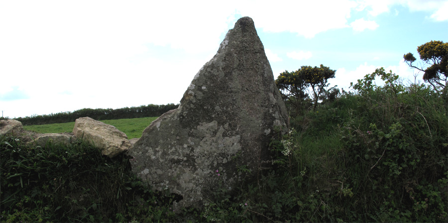 Click for full size image of Boscawen-Un Hedge (PID:85298) Boscawen-Un Hedge