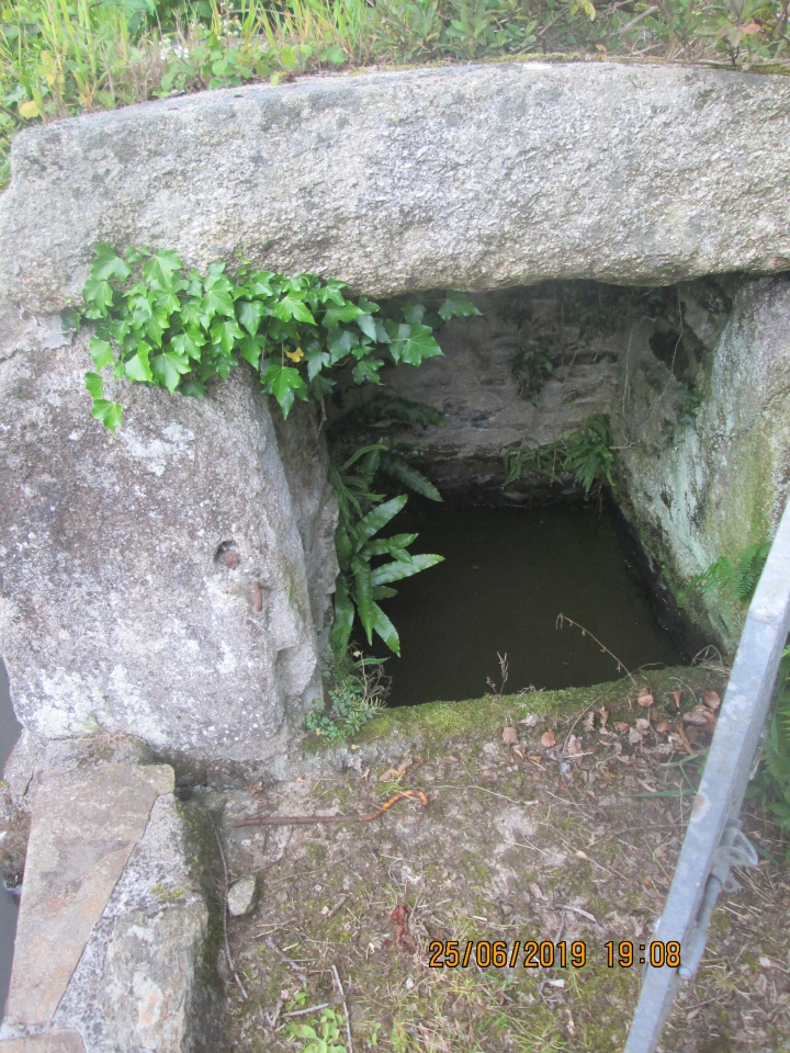 St John's Well (Caradon)