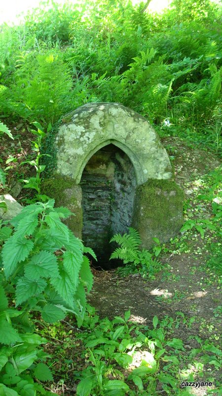 St Julitta's Well.   Situated at the bottom of a field at a Caravan Park at Lanteglos.   The staff were happy to give directions although the two that I spoke to had never actually seen it!