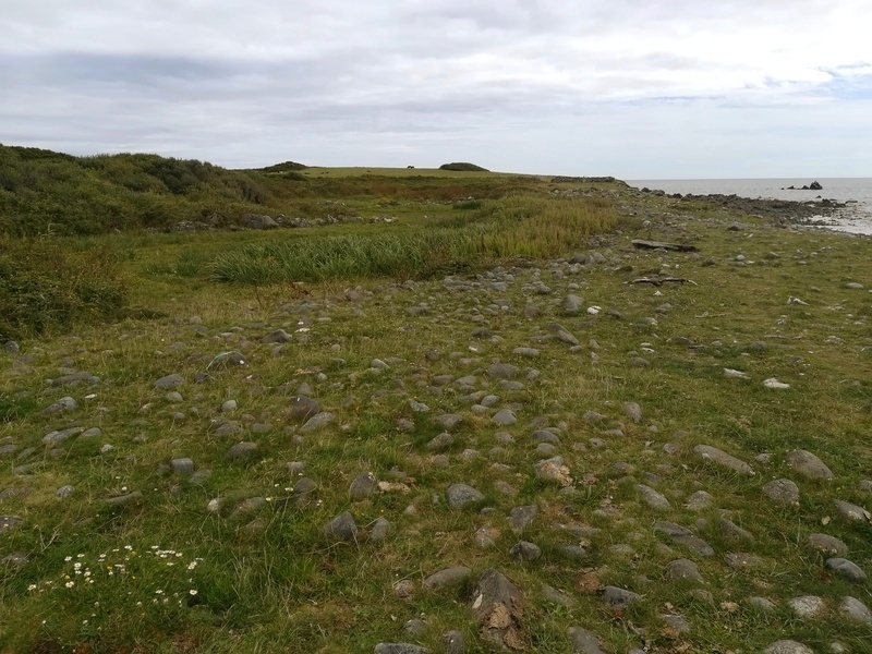 Click for full size image of Lowland Point (PID:213937) Lowland Point