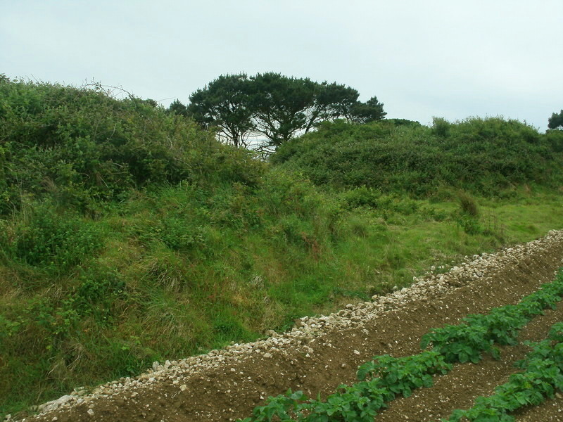 Kenwyn Four Burrows