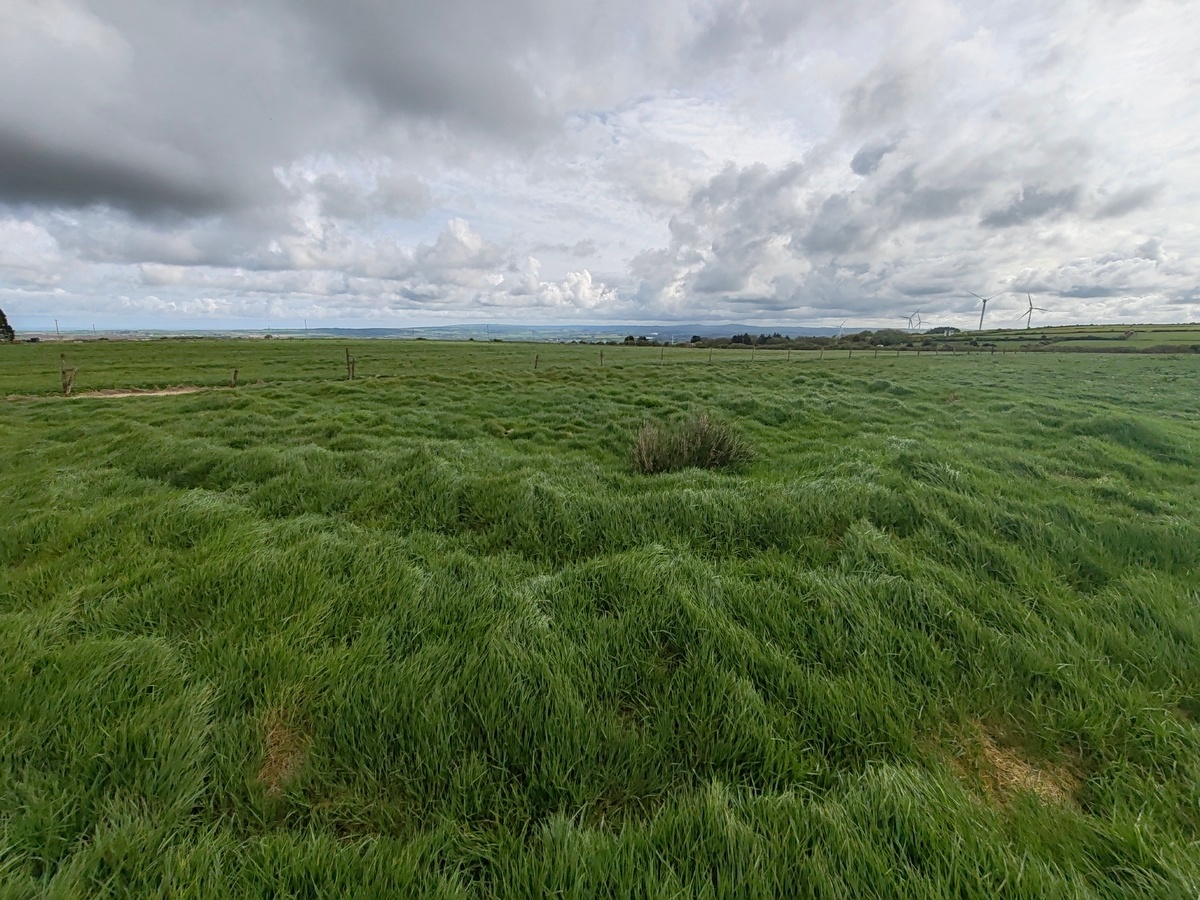 Click for full size image of Pawton Gate (PID:273429) Pawton Gate