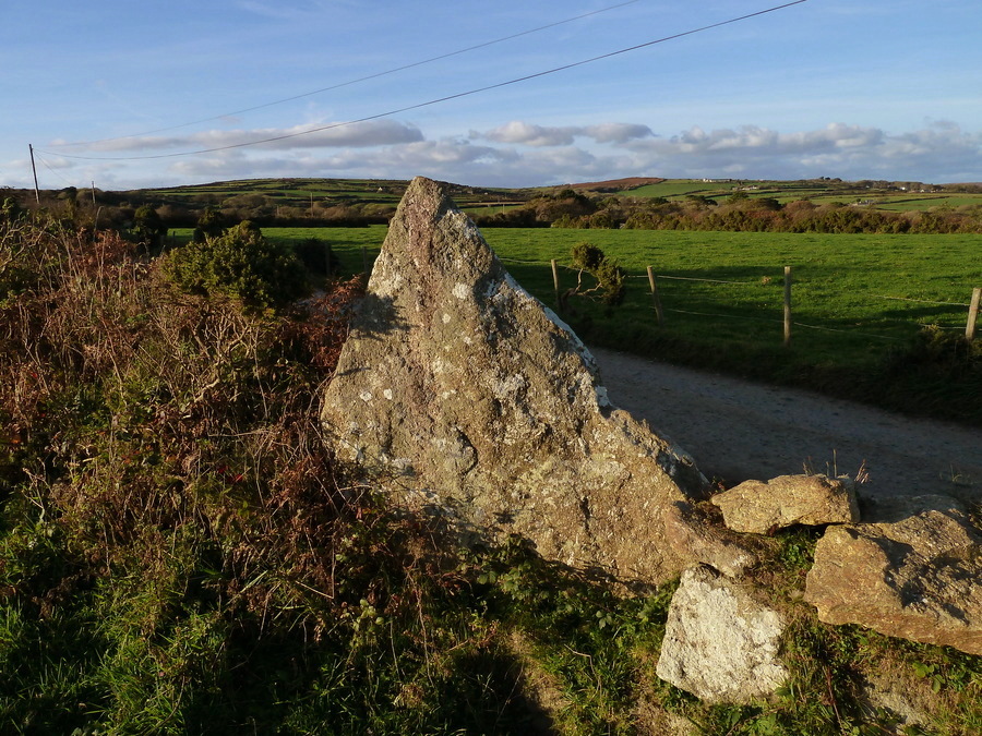 Click for full size image of Boscawen-Un Hedge (PID:161387) Boscawen-Un Hedge