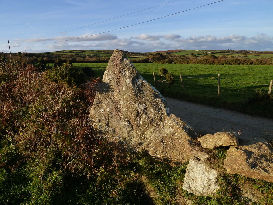 Boscawen-Un Hedge