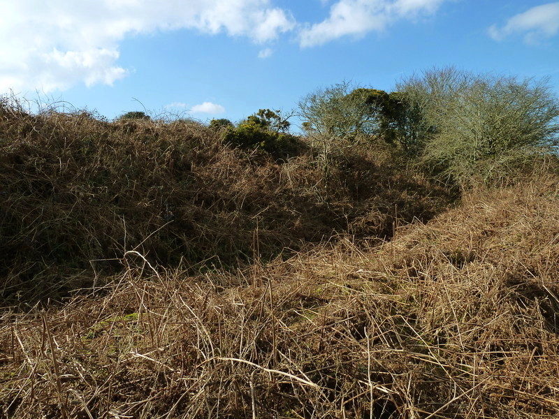 Tregonning hill Round