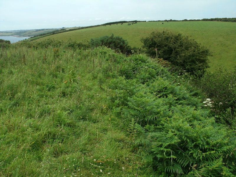 Veryan castle