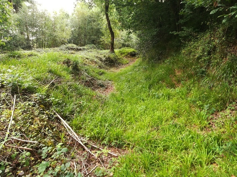 Bishops Wood Fort