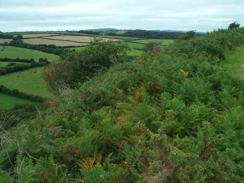 Cadson Bury, looking west- north-west towards Caradon hill.
