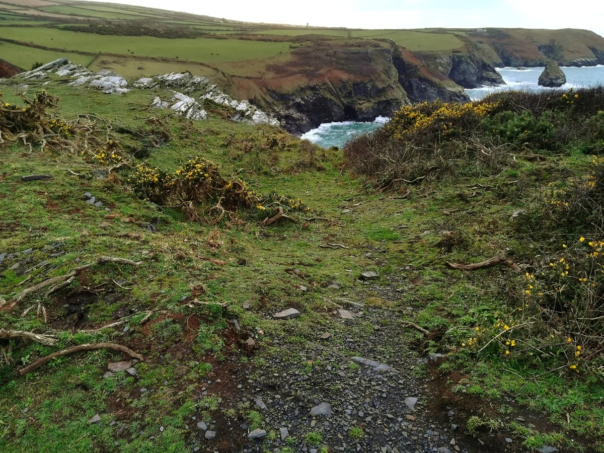 Click for full size image of Boscastle Settlement (PID:269532) Boscastle Settlement
