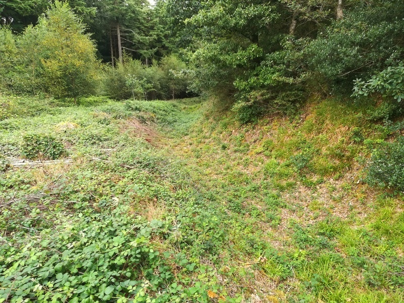 Click for full size image of Bishops Wood Fort (PID:215295) Bishops Wood Fort