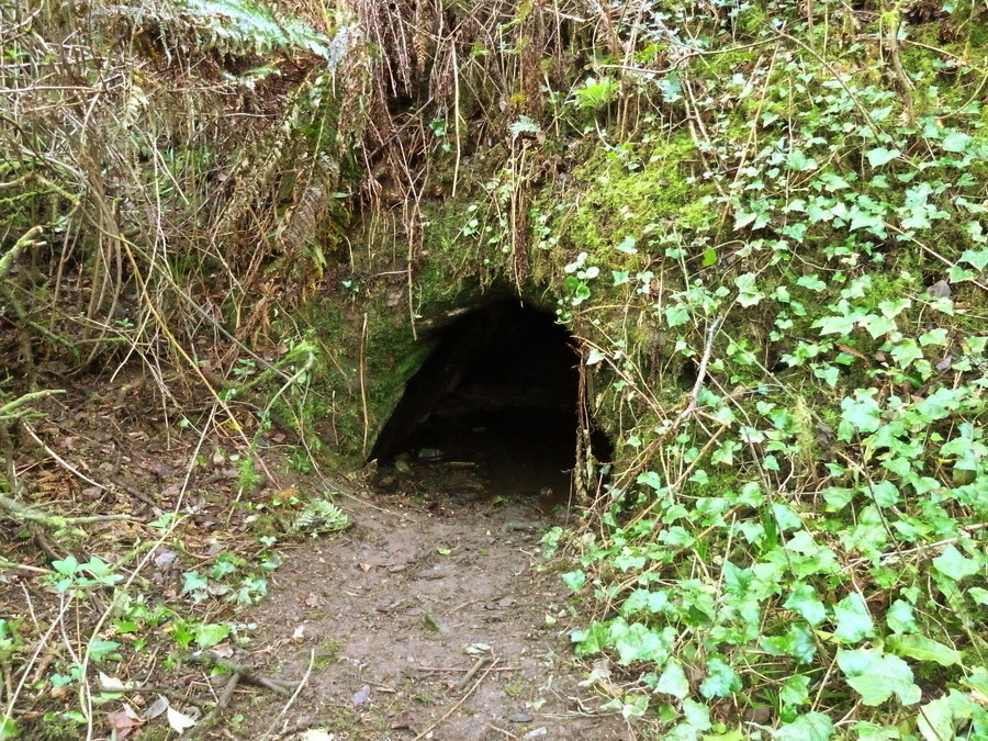 Porthcothan Cave