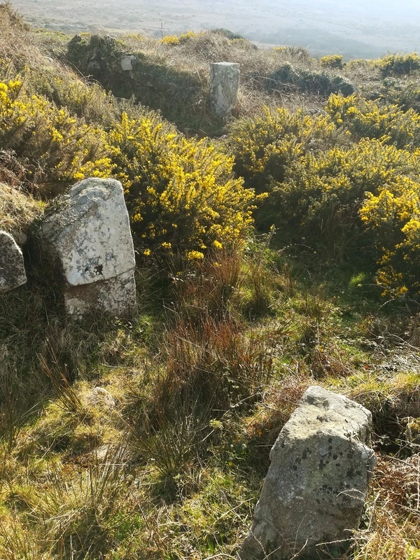 Porthmeor Settlements, Tumuli and homestead