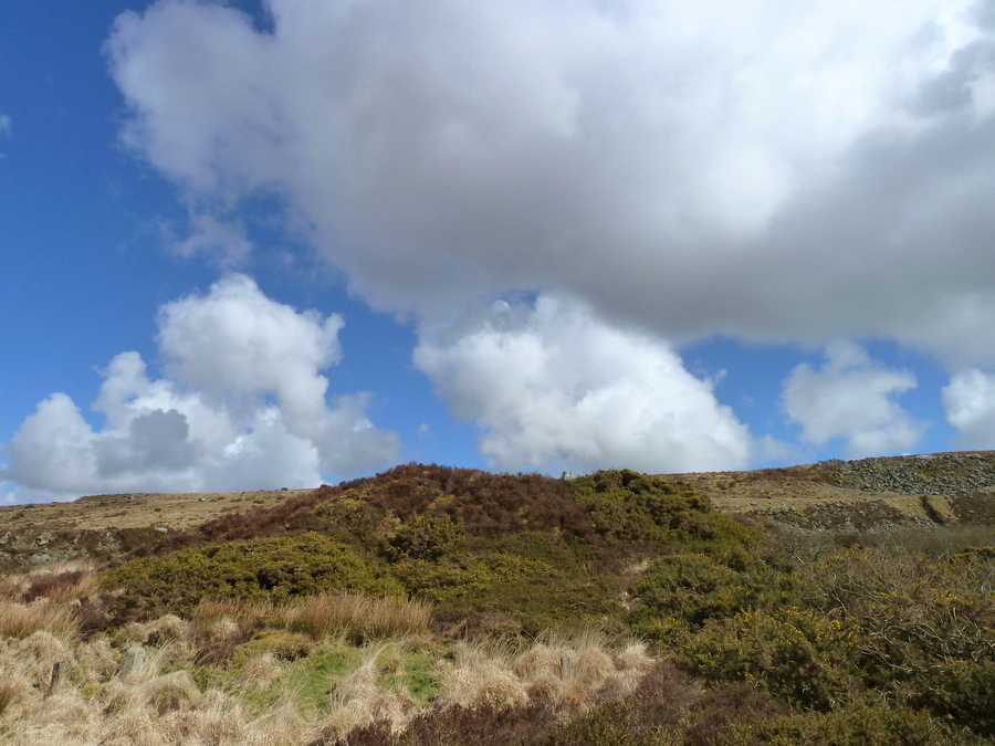 Click for full size image of Hensbarrow (PID:155963) Hensbarrow