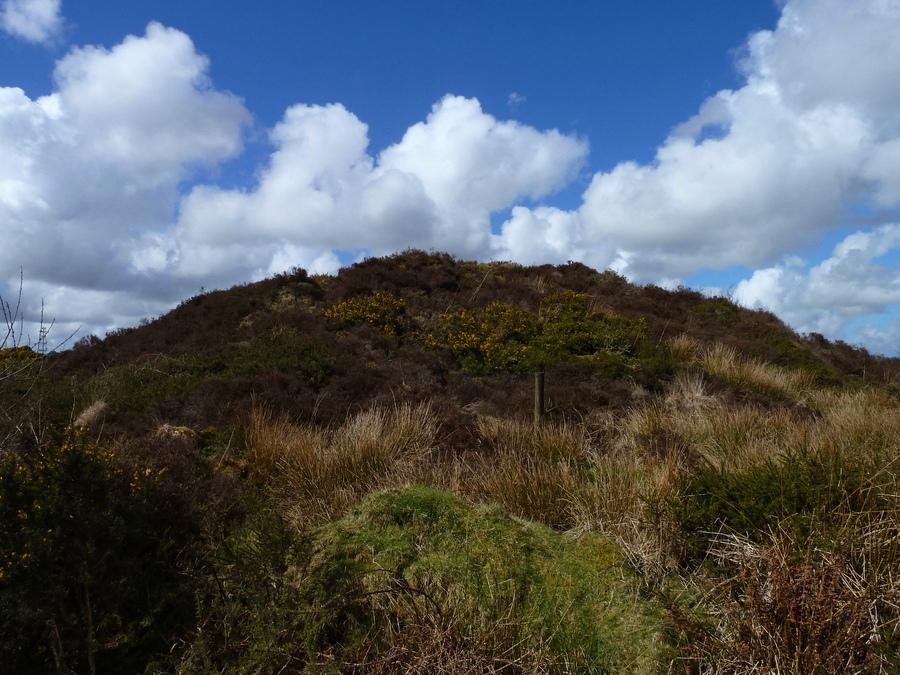 Hensbarrow (PID:155965) Hensbarrow