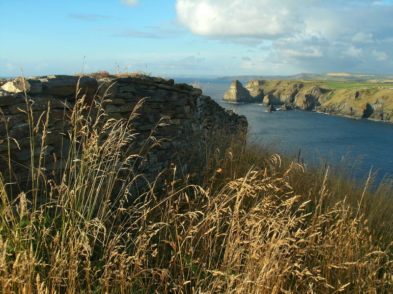 Click for full size image of Bossiney Settlement (PID:112120) Bossiney Settlement