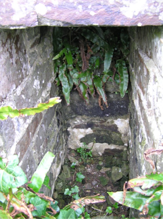 St Morwenna's Well