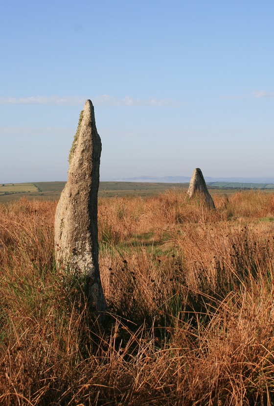 Click for full size image of Stripple Stones (PID:112762) Stripple Stones