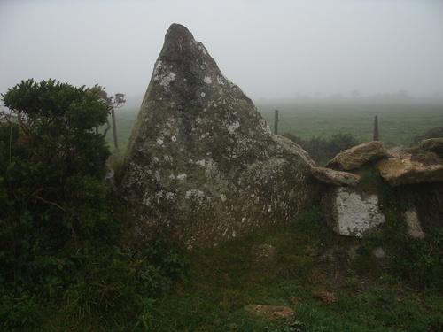 Click for full size image of Boscawen-Un Hedge (PID:98755) Boscawen-Un Hedge