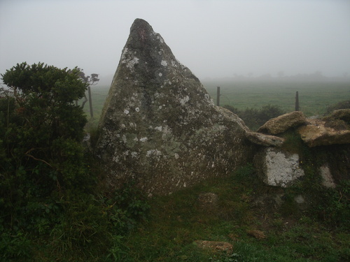 Boscawen-Un Hedge