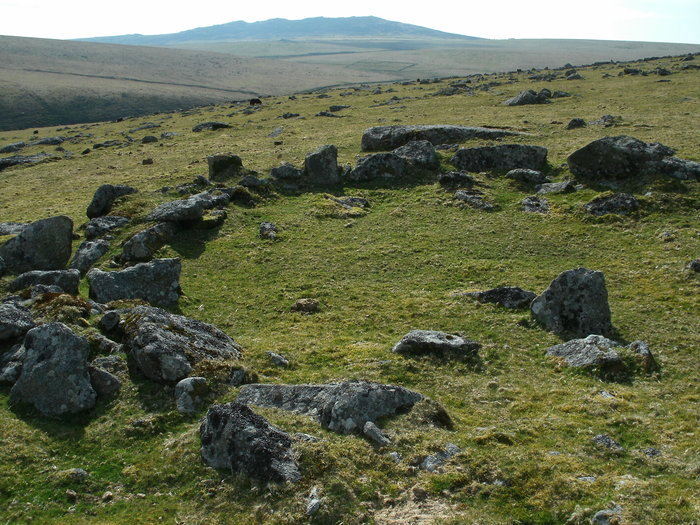 Click for full size image of Leskernick Hill Settlement (PID:133605) Leskernick Hill Settlement
