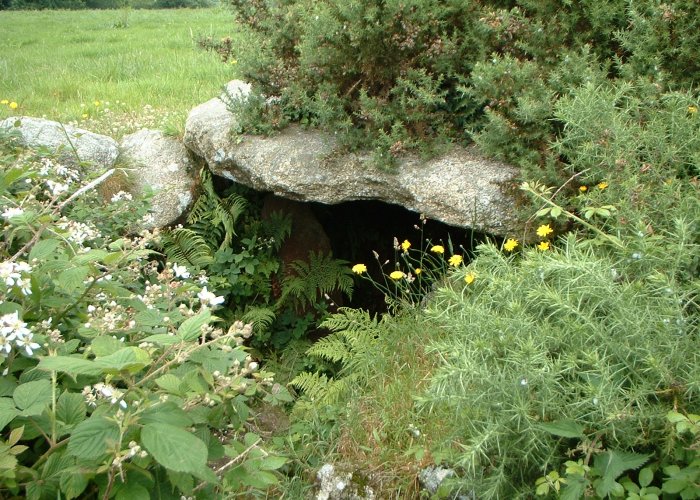 Click for full size image of Piskey’s Hall – The Fairy’s Fogou (PID:3653) Piskey’s Hall – The Fairy’s Fogou