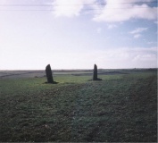Drift Stones - PID:14609