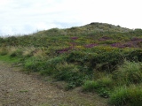 Chapel Carn Brea Tomb