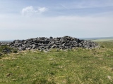 Langstone downs Cairns