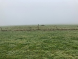 Click for full size image of Pawton Gate (PID:255090) Pawton Gate