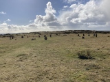 Click for full size image of The Hurlers (C) (PID:255129) The Hurlers (C)