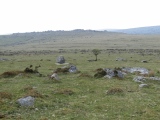 Pyramid Stone (Kilmar Tor)