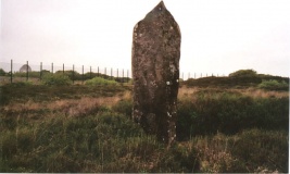 Dry Tree Menhir - PID:15538
