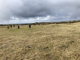 Click for full size image of The Hurlers (C) (PID:255130) The Hurlers (C)
