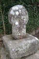 Click for full size image of Paul Churchyard (PID:246823) Paul Churchyard