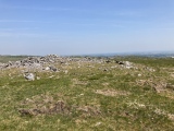 Langstone downs Cairns