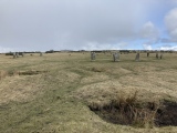 Click for full size image of The Hurlers (C) (PID:255131) The Hurlers (C)