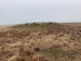 Click for full size image of Rosenannon Downs W (PID:256792) Rosenannon Downs W